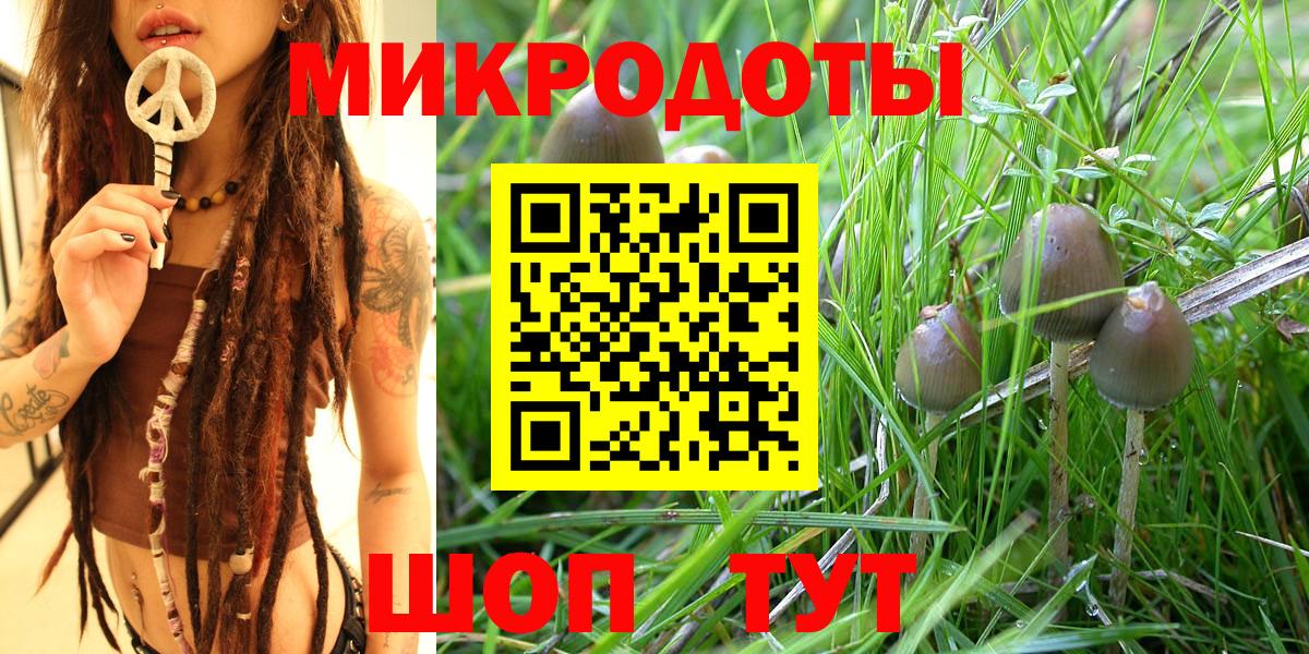 Галлюциногенные грибы прущие грибы Сафоново